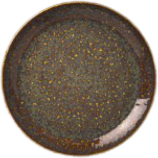 Steelite Vesuvius Amber Plate Coupe 28cm(Pack of 12) Restaurant Supply Images