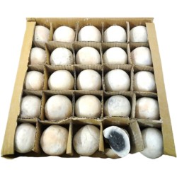 Mastercook Tandoor Ball (Pack of 100)