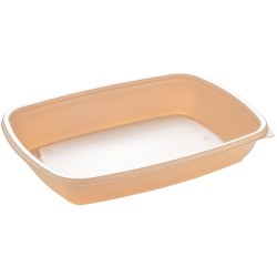 Sabert Rectangular Container Natural colour 600ml 23x17 cm(Pack of 300)
