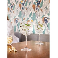Arcoroc Vina Splendid Gin / Copa / Ballon Stem Glasses 580 ml / 20oz(Pack of 24)