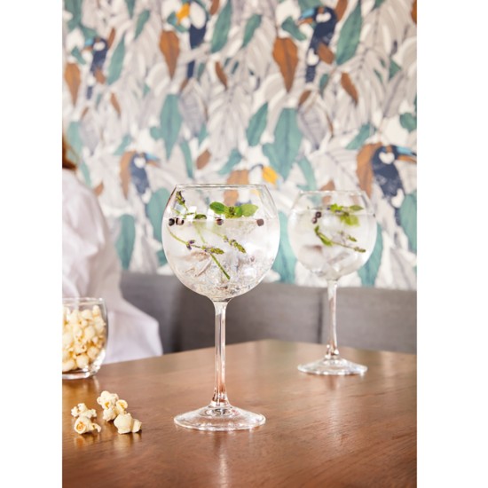 Arcoroc Vina Splendid Gin / Copa / Ballon Stem Glasses 580 ml / 20oz(Pack of 24) Catering Supply Images