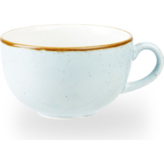 Churchill Stonecast Duck Egg Cappuccino Cup 16Oz(Pack of 6) Restaurant Supply Images